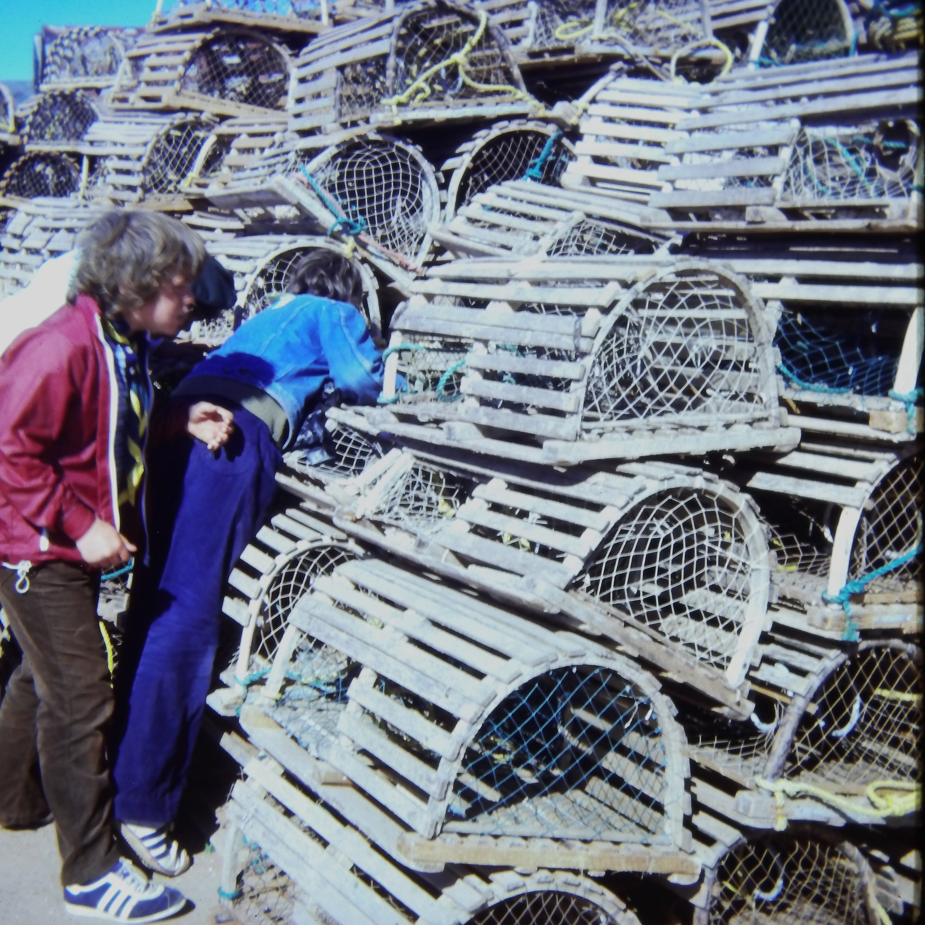 Lobster Traps