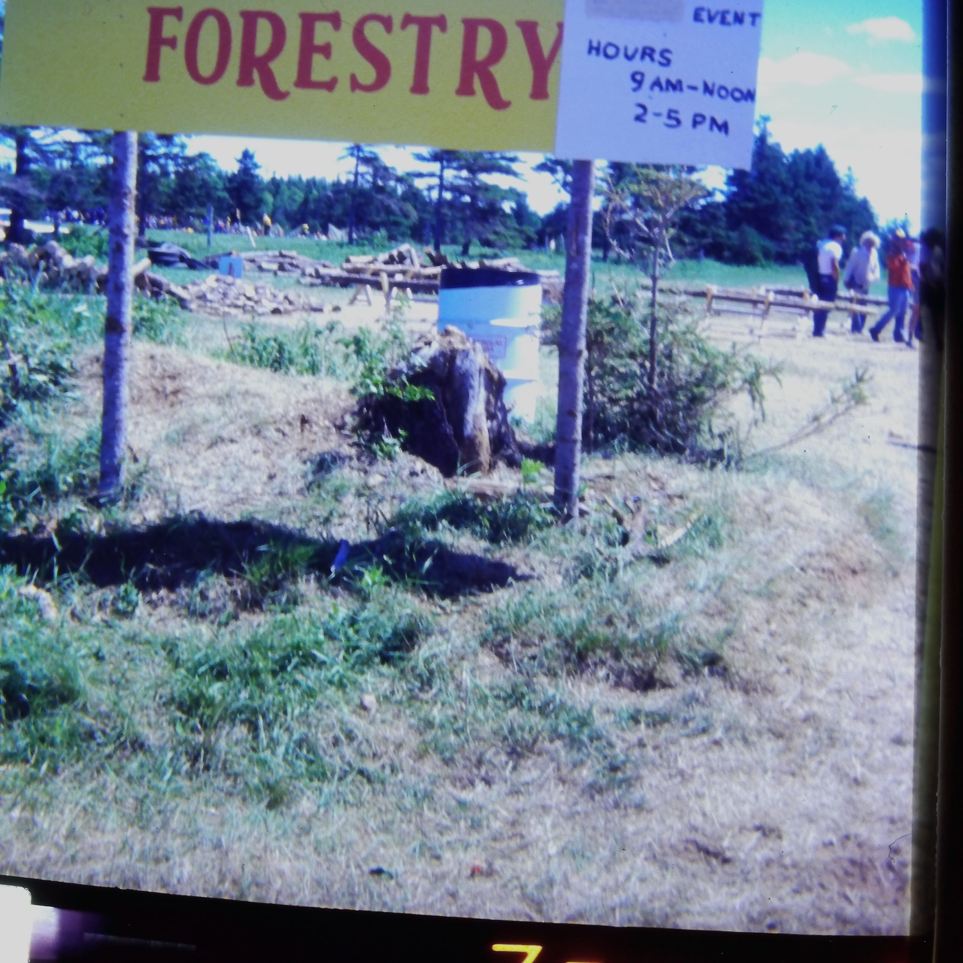 Forestry I