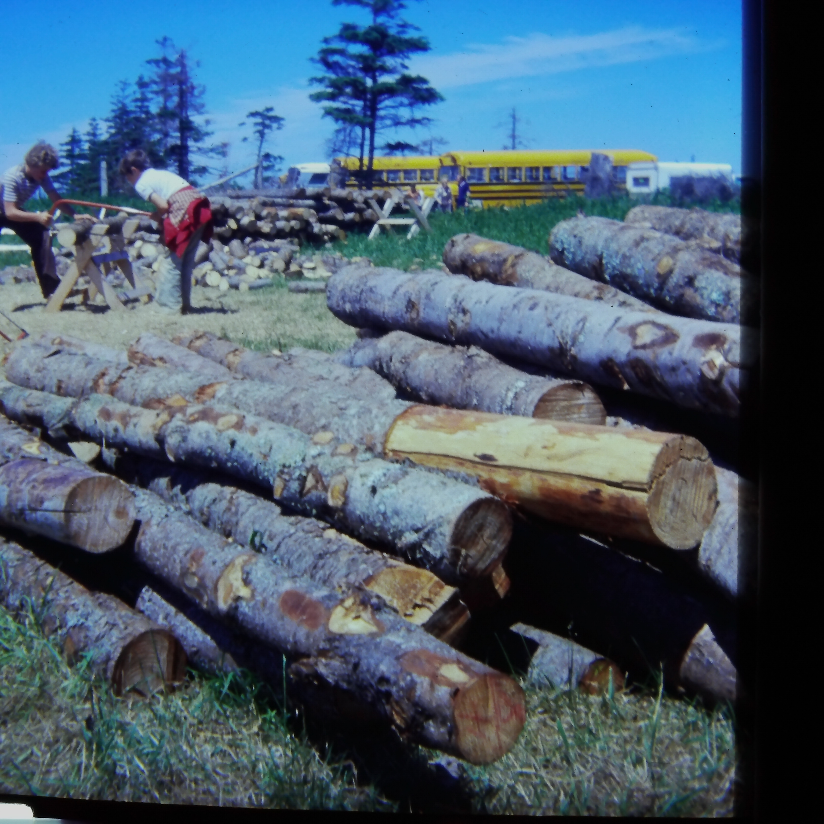 Forestry II