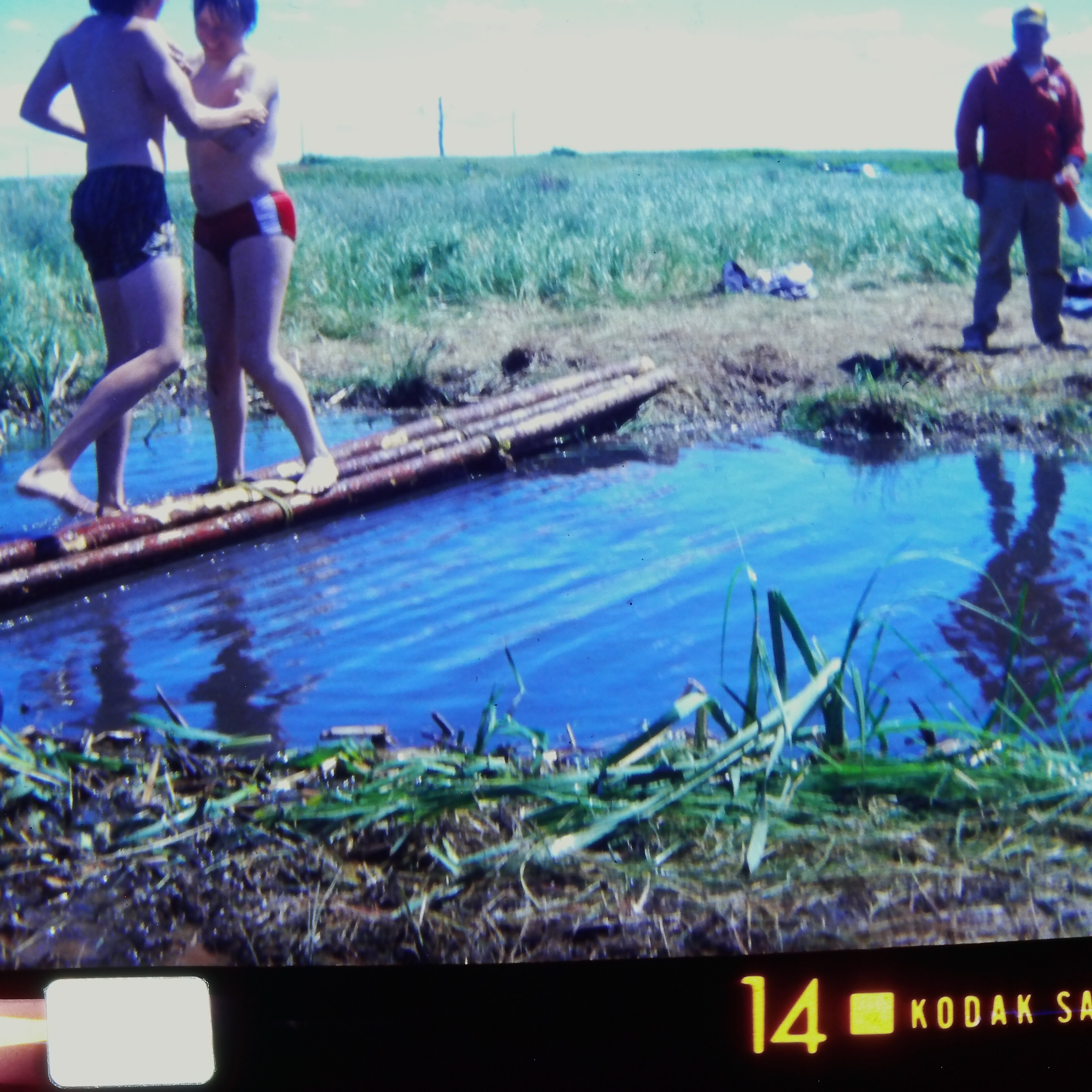 Scouts Wrestling on Log