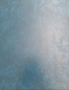 SCPBK-010-018